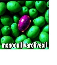 emozioneolio
